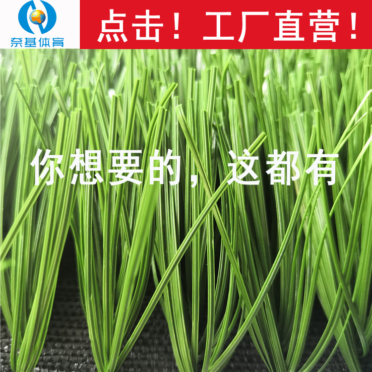 足球草單色mt-雙s50 (1).jpg