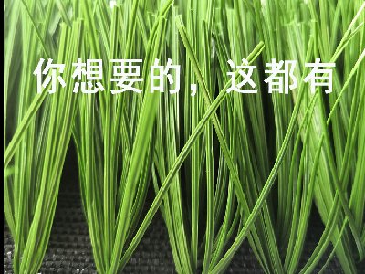 人造草坪基礎施工要求有哪些？